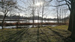 Au fil de l galerie photo