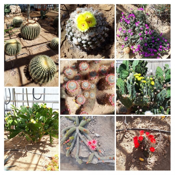20190531_230354-COLLAGE